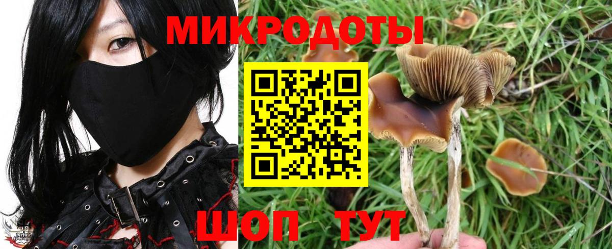 Майский  Псилоцибиновые грибы прущие грибы  Вход с VPN 