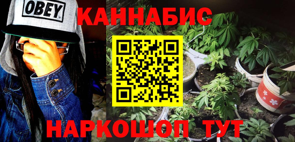 Канабис OG Kush  Вход с VPN  Шишки марихуана Bruce Banner  Майский 